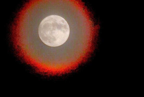 alone luna