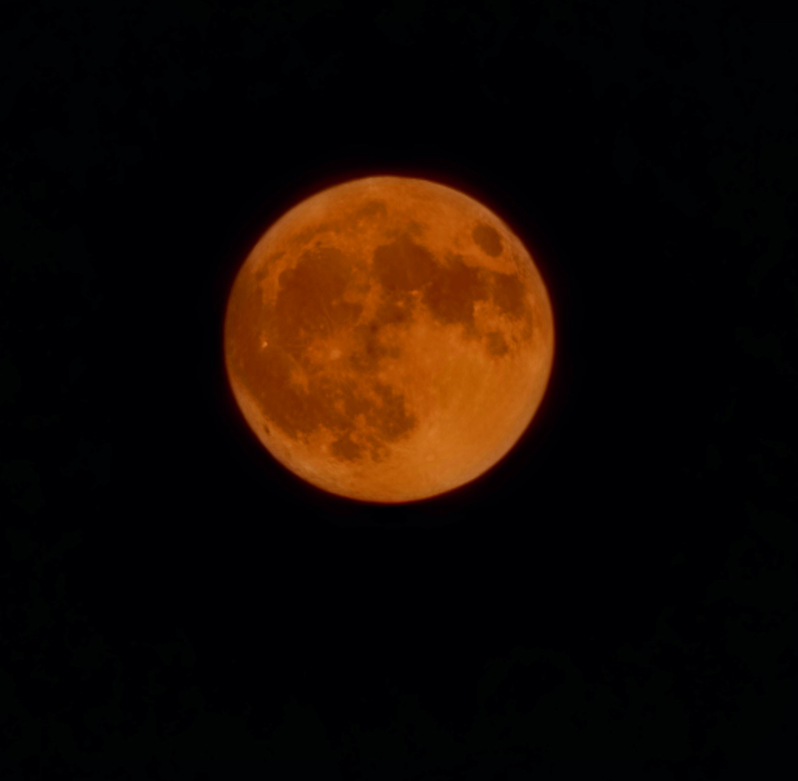luna piena delle fragole