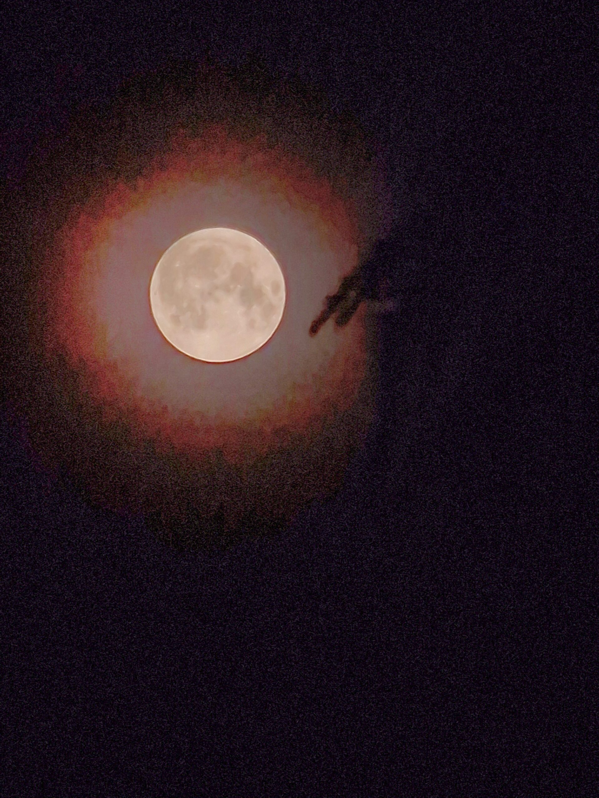 luna piena delle fragole