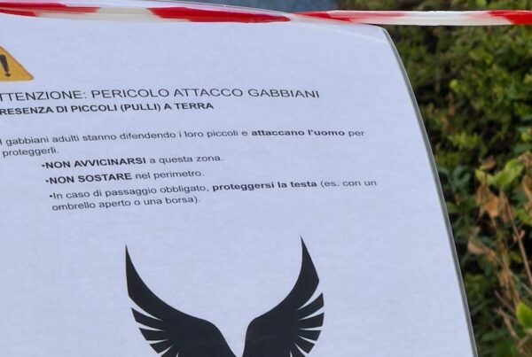cartello gabbiano