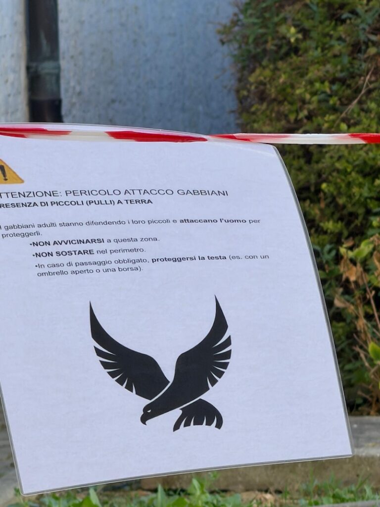 cartello gabbiano