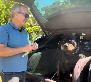 abbandono cani e gatti