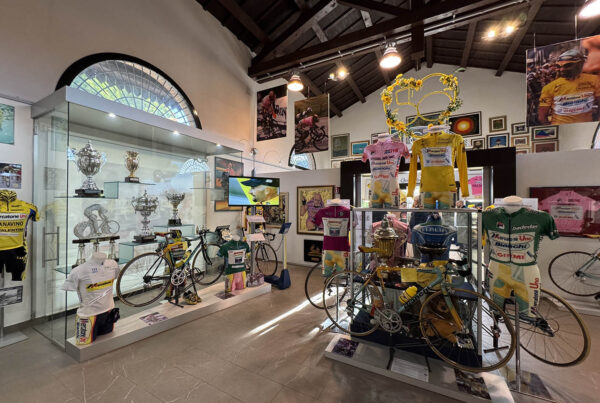 spazio pantani Saulo Ambrosini