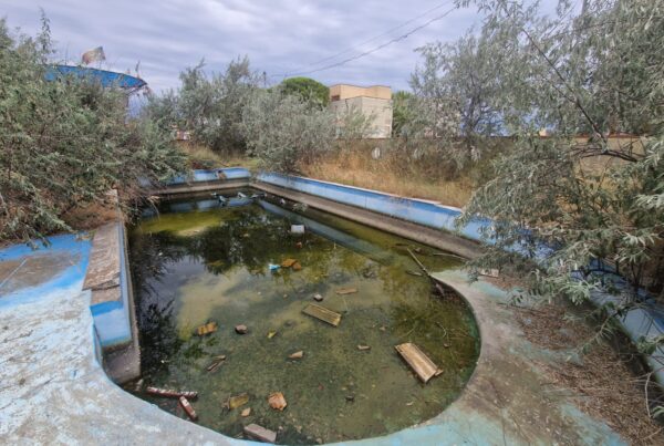 acqua stagnate zanzare