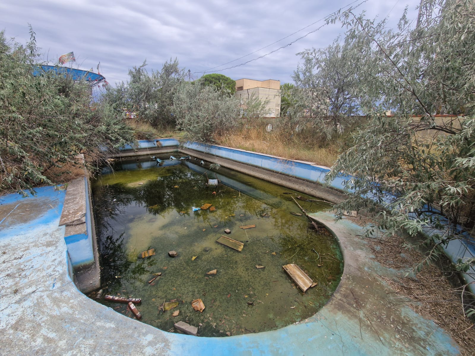 acqua stagnate zanzare