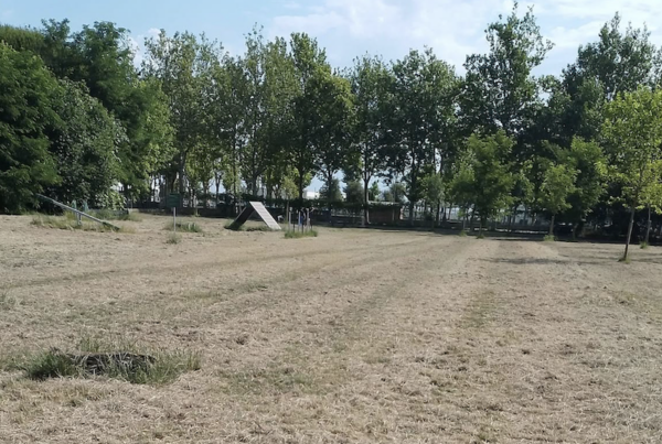 parco levante - area cani