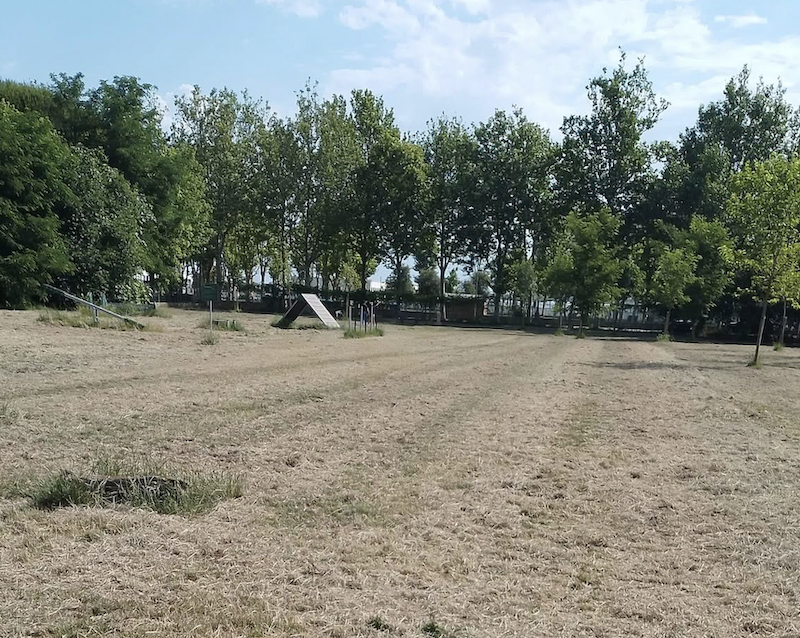 parco levante - area cani