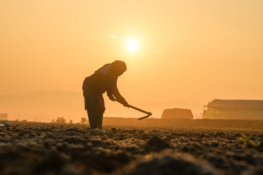 lavoro, agricoltura