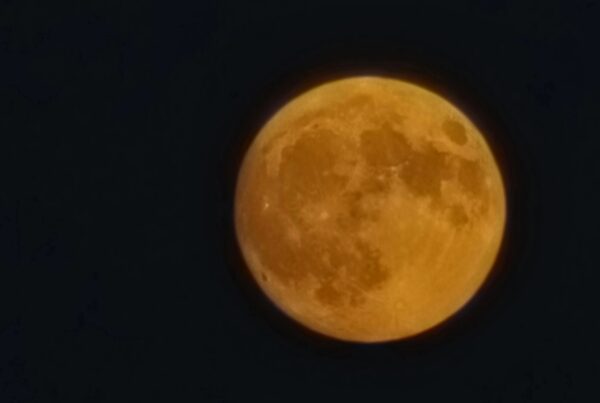 luna del cervo