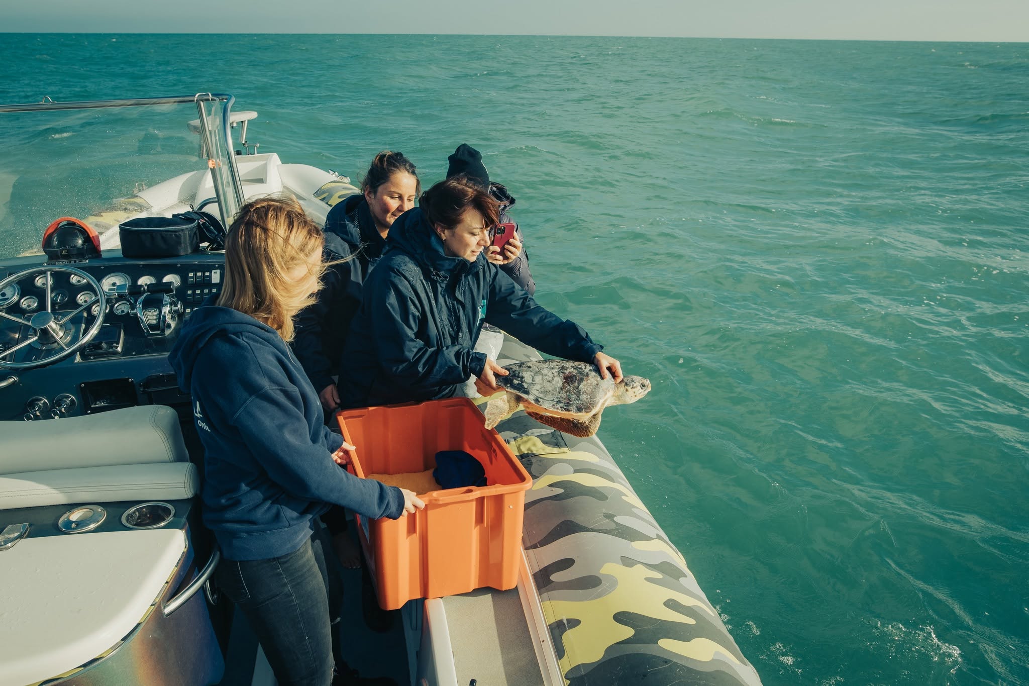 tartarughe, alice Pari Fondazione cetacea