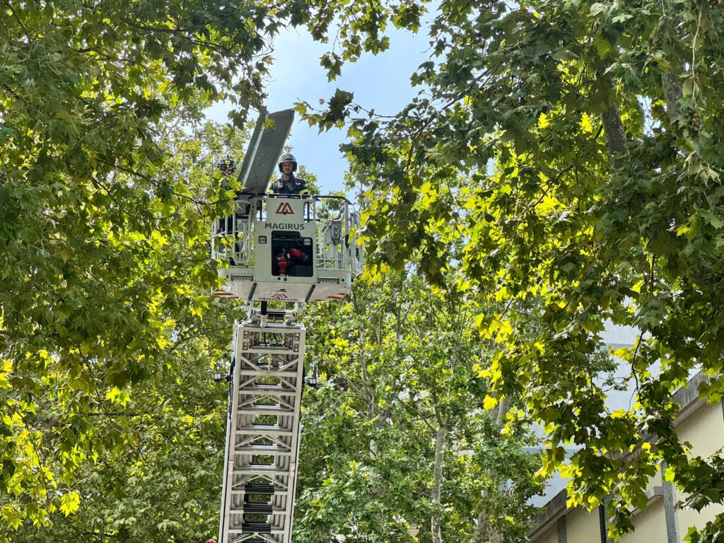 vigili del fuoco vigili del fuoco