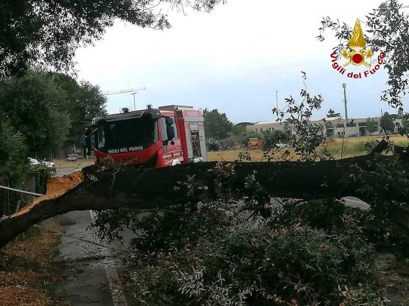 vigili del fuoco