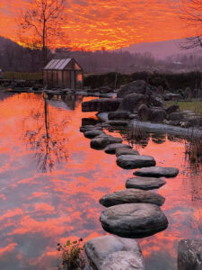 koi farm borello