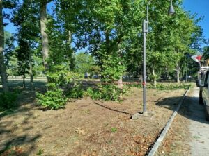 maltempo parco di poenente alberi abbattuti