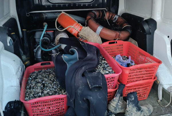 maxisequestro vongole