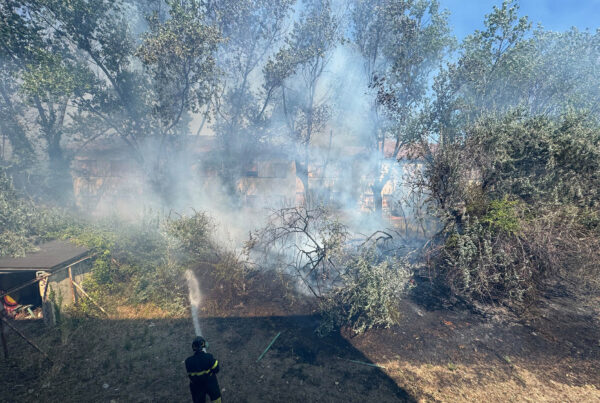 incendio sterpaglie colonia