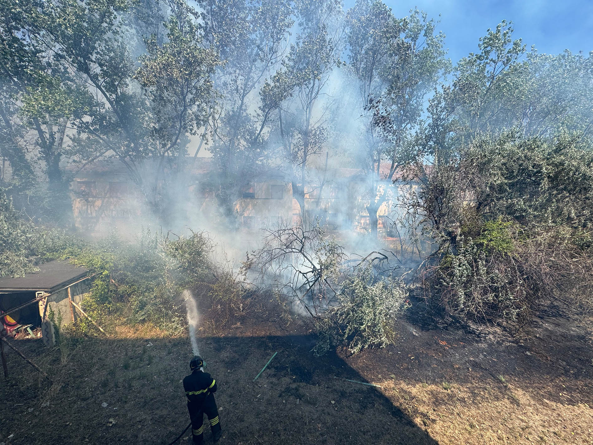 incendio sterpaglie colonia