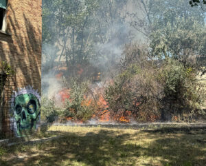 incendio vegetazione