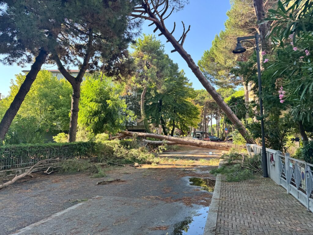 maltempo cesenatico, zadina pini