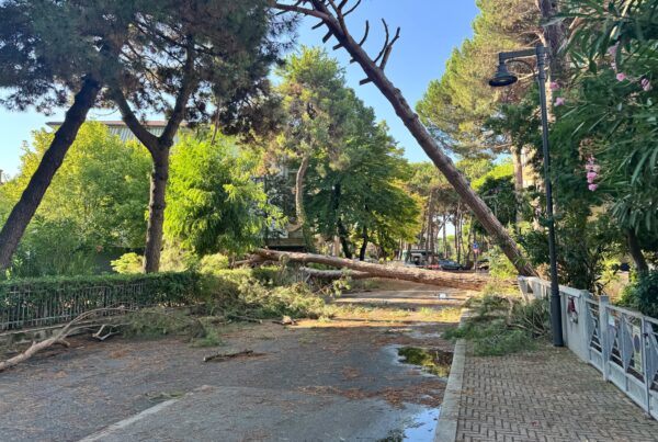 maltempo cesenatico, zadina pini