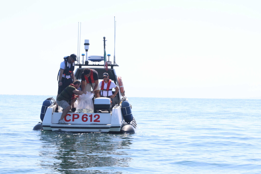 polpi cesenatico