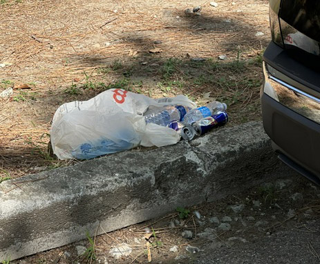 rifiuti viale mantegna