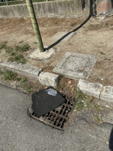 spazzatura viale mantegna