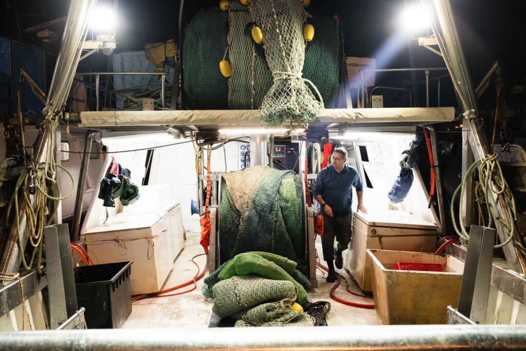 ulivo pesca