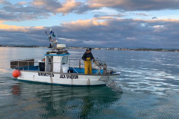piccola pesca piccola pesca