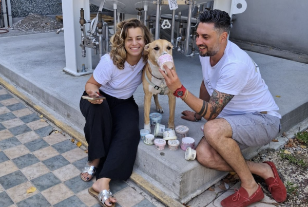 Slurpy - gelato per cani Cesenatico