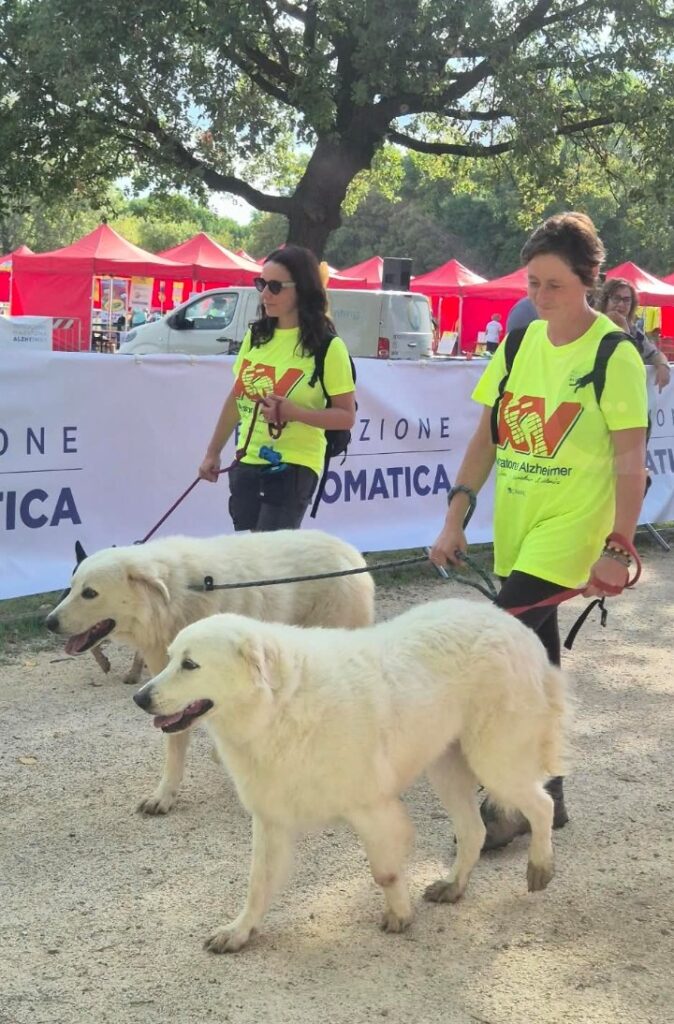 maratona dog walking