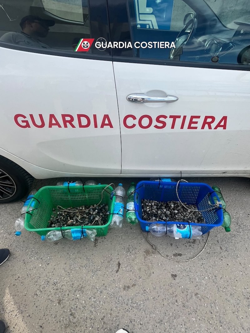 guardia costiera - volgole