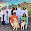 per therapy Bufalini