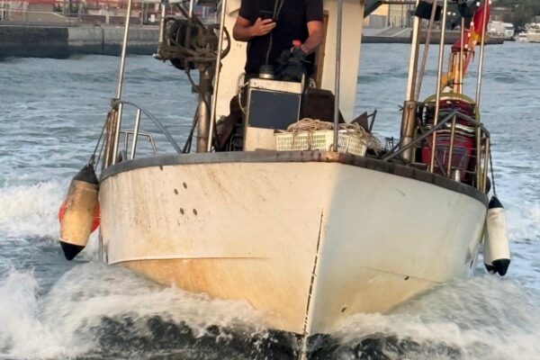 piccola pesca piccola pesca