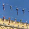meduse di lana