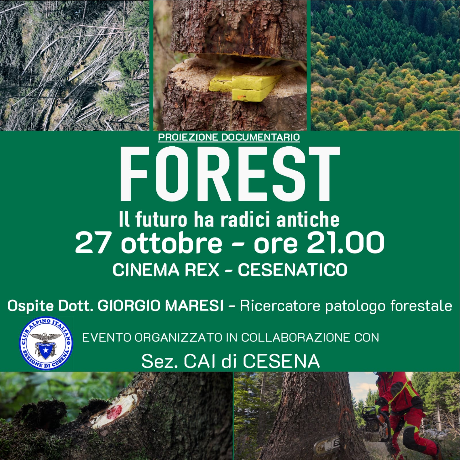 cinema rex forest docufilm
