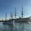 vespucci barchet cesenatico